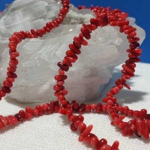 May include: A strand of red coral beads, strung together to form a necklace. The beads are irregular in shape and size, and have a natural, organic look.