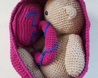 Hand Crocheted Baby, Placenta and Womb Midwife Gift | Placenta Model Set For Childbirth Education | New Baby Gift | Baby Womb Art |