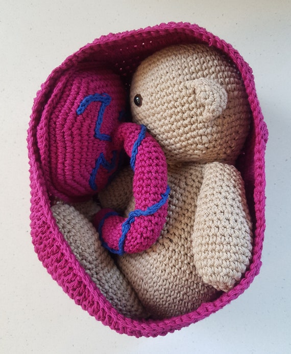 Hand Crocheted Baby, Placenta and Womb Midwife Gift | Placenta Model Set For Childbirth Education | New Baby Gift | Baby Womb Art |