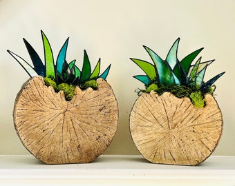 Large Stained Glass Aloe Agave Plants in Round Log Centerpiece Planter | Unique Decor | 2 Sizes!