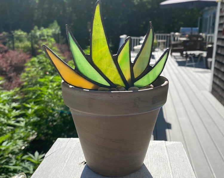 Wholesale discounted online Stained Glass "Zen" Agave Aloe