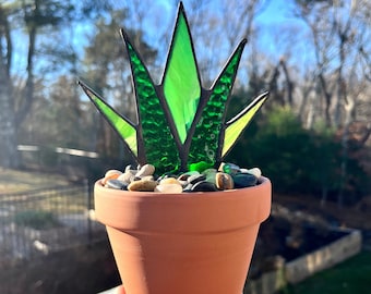 ソウラボAGAVE- [ Z ] 心憎い ERO BOTANIZE PLA POT