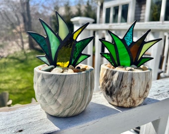 Miniature Stained Glass Agave Aloe "JOY" Potted Plant in Ceramic Marbleized Pot in Six Colors!