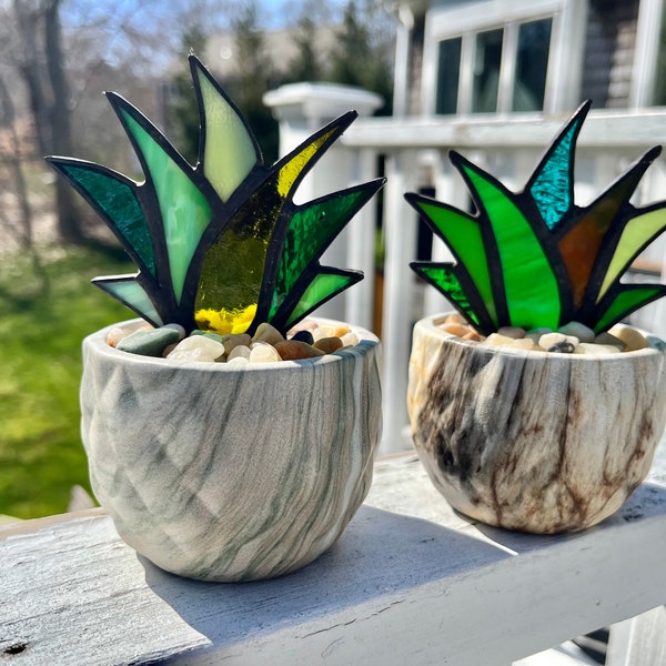 Miniature Stained Glass Agave Aloe "JOY" Potted Plant in Ceramic Marbleized Pot in Six Colors!