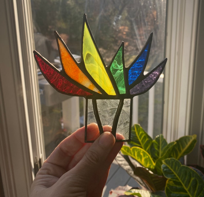 Rainbow Stained Glass Pride A-Gay-Ve Plant in Pot of Gold Planter LGBTQ Agave Aloe Plant Charity 1 Plant Only No Pot