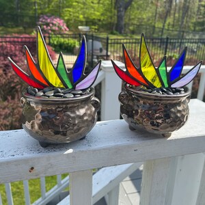 Rainbow Stained Glass Pride A-Gay-Ve Plant in Pot of Gold Planter LGBTQ Agave Aloe Plant Charity image 6