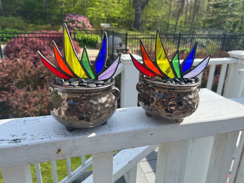 Rainbow Stained Glass Pride A-Gay-Ve Plant in Pot of Gold Planter LGBTQ Agave Aloe Plant Charity image 6