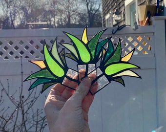 Mini Stained Glass Agave "Joy" Aloe PLANT ONLY | Stain Glass Agave Succulent