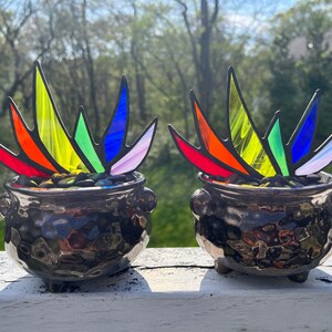 Rainbow Stained Glass Pride A-Gay-Ve Plant in Pot of Gold Planter LGBTQ Agave Aloe Plant Charity image 3