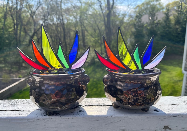 Rainbow Stained Glass Pride A-Gay-Ve Plant in Pot of Gold Planter LGBTQ Agave Aloe Plant Charity image 3