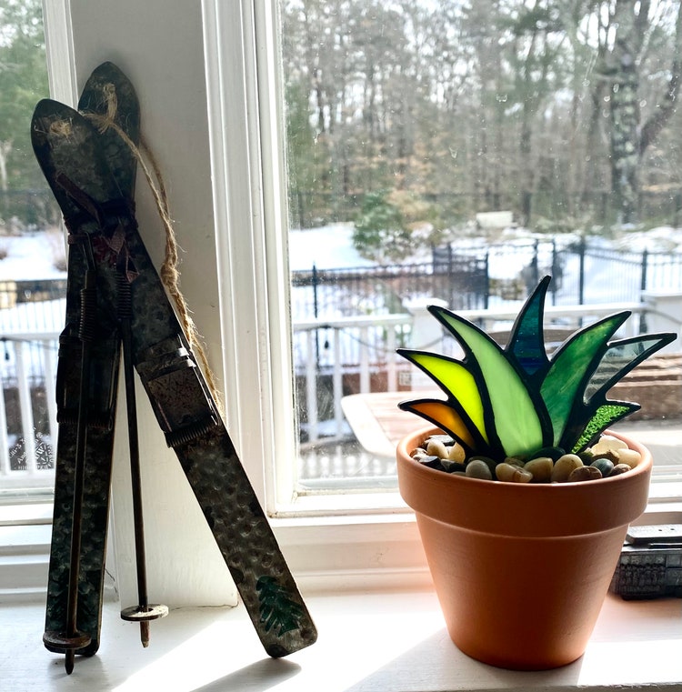Vouchers Available Mini Stained Glass Agave "Joy" Aloe