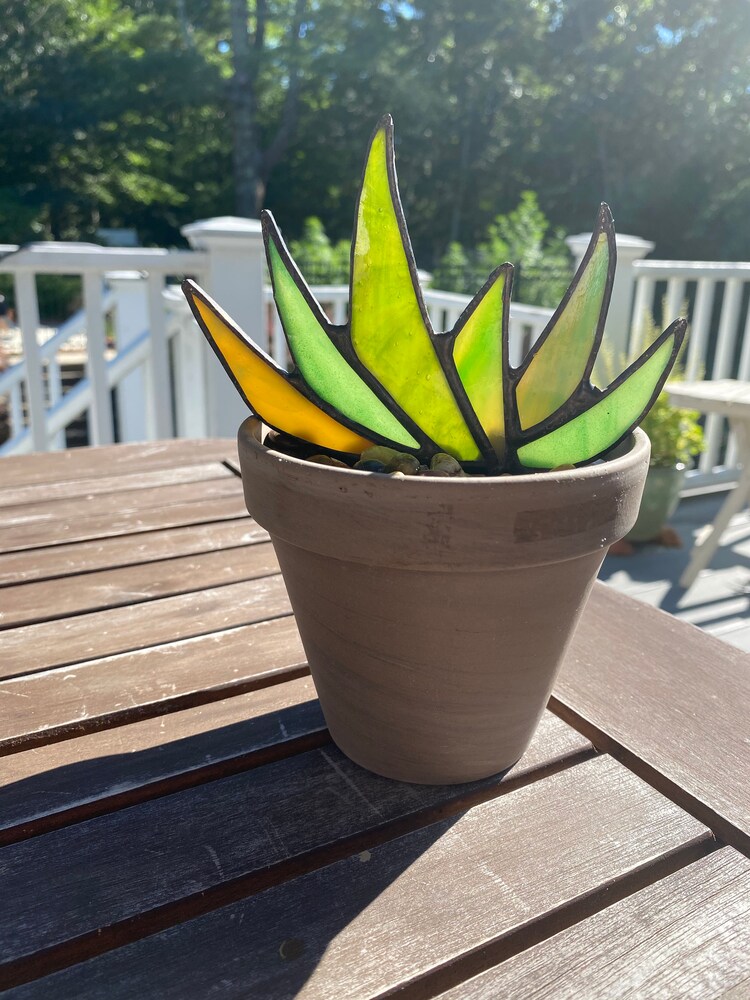 Wholesale discounted online Stained Glass "Zen" Agave Aloe