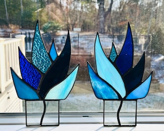 Stunning Azul Blue Stained Glass Agave Succulent Plant Pick