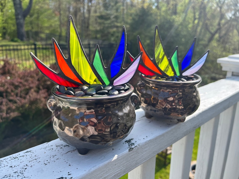 Rainbow Stained Glass Pride A-Gay-Ve Plant in Pot of Gold Planter LGBTQ Agave Aloe Plant Charity image 1