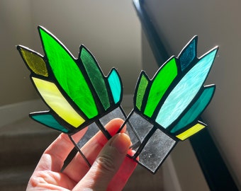 Stained Glass Agave "Bliss" Aloe PLANT ONLY | Stained Stain Glass Agave Succulent Plant Pic