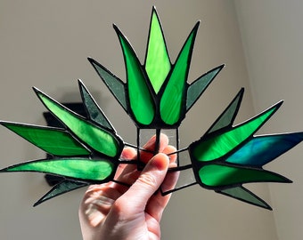 Stained Glass Agave "Spiky" Aloe PLANT ONLY | Stained Stain Glass Agave Succulent Plant Pic