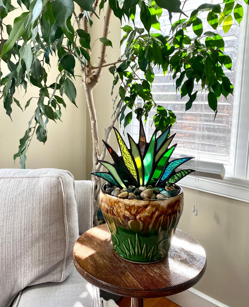 Spectacular Stained Glass Agave Aloe Potted Plant in Roseville image 0