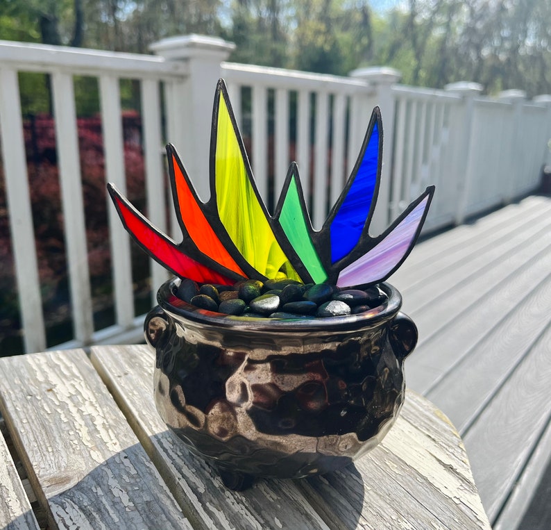 Rainbow Stained Glass Pride A-Gay-Ve Plant in Pot of Gold Planter LGBTQ Agave Aloe Plant Charity 1 Plant with 1 Pot