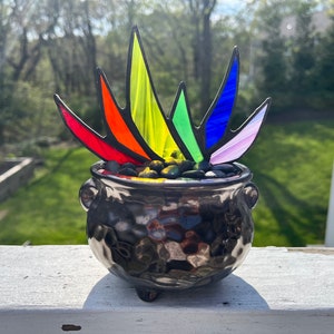 Rainbow Stained Glass Pride A-Gay-Ve Plant in Pot of Gold Planter LGBTQ Agave Aloe Plant Charity image 4