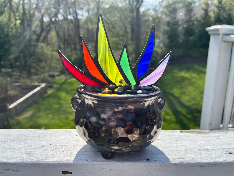 Rainbow Stained Glass Pride A-Gay-Ve Plant in Pot of Gold Planter LGBTQ Agave Aloe Plant Charity image 4