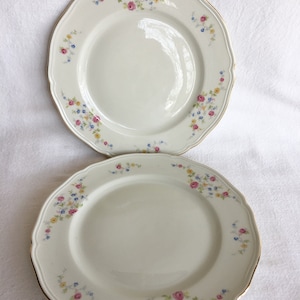 Set of 2 Porcelain Floral Salad Plates, Rose Pattern, Zeh Scherzer, Bavaria, Germany, Elite