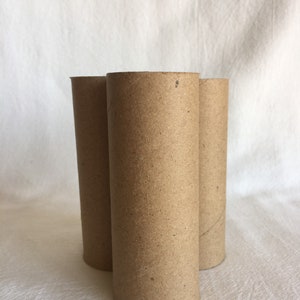 12 Pack Cardboard Tubes for Crafts, Brown Rolls for DIY Projects