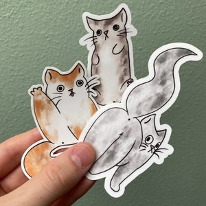 Cat Butt sticker, kitty butt, derpy cat, tabby cat, grey cat, orange cat, cat mom, cat dad