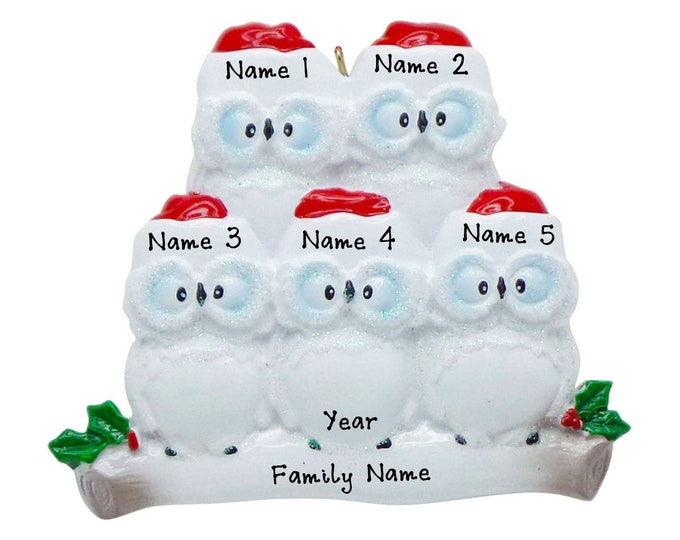 Personalized Owl Ornament - Family of 5 Christmas Ornament - Family Christmas Ornament, Owls On Tree Branch, Grandparents Christmas Ornament