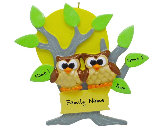 Personalized Couple Ornament - Two Owls on Tree Branch, Couple Christmas Ornament, Our First Christmas, Personalized Gift for Owl Lovers
