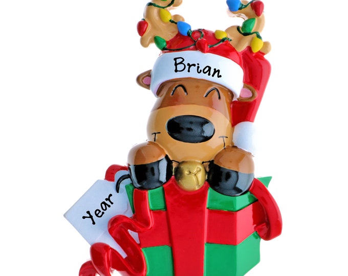 Personalized Baby Girl's 1st Christmas Ornament –  Baby Boy's 1st Christmas Ornament - Custom Baby's First Red Reindeer Ornament with Name