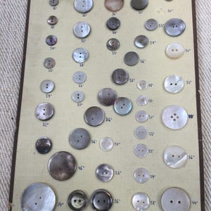 Voorbeeldkaart van 43 parelmoeren knopen, oud. jaren vijftig. Voorbeeldkaart van 43 vintage parelmoer/schelpknopen.