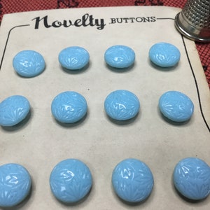 Può includere: Una carta con il testo "Novelty Buttons" stampato su di essa. Ci sono dodici bottoni di colore azzurro chiaro con un disegno floreale sulla carta.