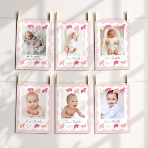Modèle de bannière d'étape importante pour le 1er anniversaire de biscuits animaux givrés, fêtards, célébration douce, animaux de cirque rétro, paillettes arc-en-ciel WP1015