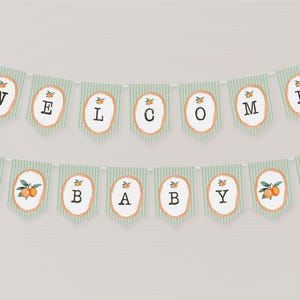 Babyparty-Banner-Vorlage mit pastelfarbenen Zitrusfrüchten für die Sommer-Babyparty, Retro Clementine-Dusche-Dekor WS1051