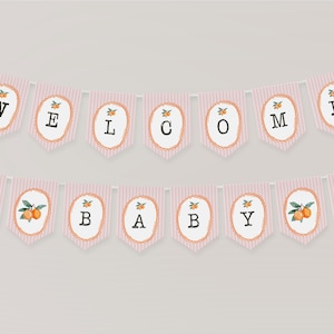Babyparty-Banner-Vorlage in Pastelltönen mit Zitrusfrüchten, für Sommer-Babyparty, Retro Clementine-Dusche-Dekor WS1050