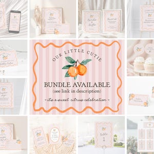 Pink Two Little Cuties Twins Baby Shower Invitation Template, Pastel Citrus Baby Sprinkle for Summer Baby Shower, Retro Clementine WP1050 image 8