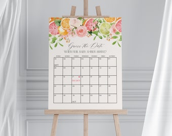 May include: A calendar on an easel with the text "Guess the Date" and "When will Baby Amber Arrive?" The calendar has a floral and fruit design at the top. The due date is marked on the 17th of September.