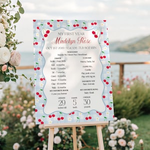 Blue Cherry Gingham First Year Milestone Sign Printable Template, Coquette Sweet Cherry First Birthday Party, Pastel Party Decor WP1072