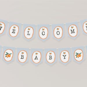 Babyparty-Banner-Vorlage mit Pastell-Zitrus-Blumen für die Sommer-Babyparty, Retro Clementine-Dusche-Dekor WS1052