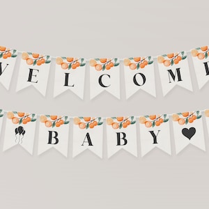 A little cutie is on the way citrus baby shower banner template, banner little cutie decor, orange baby shower, gender neutral shower WP1068