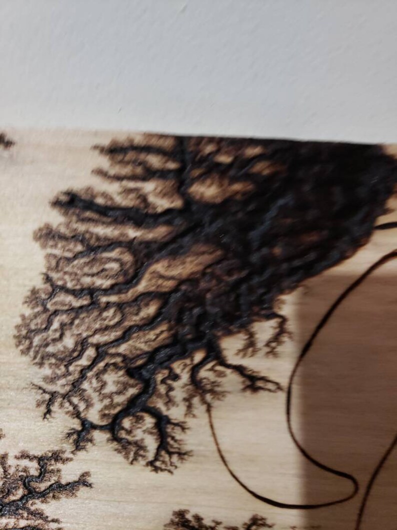 Welcome Sign, Lichtenberg Wood Burning, Lichtenberg Wood Burning Art