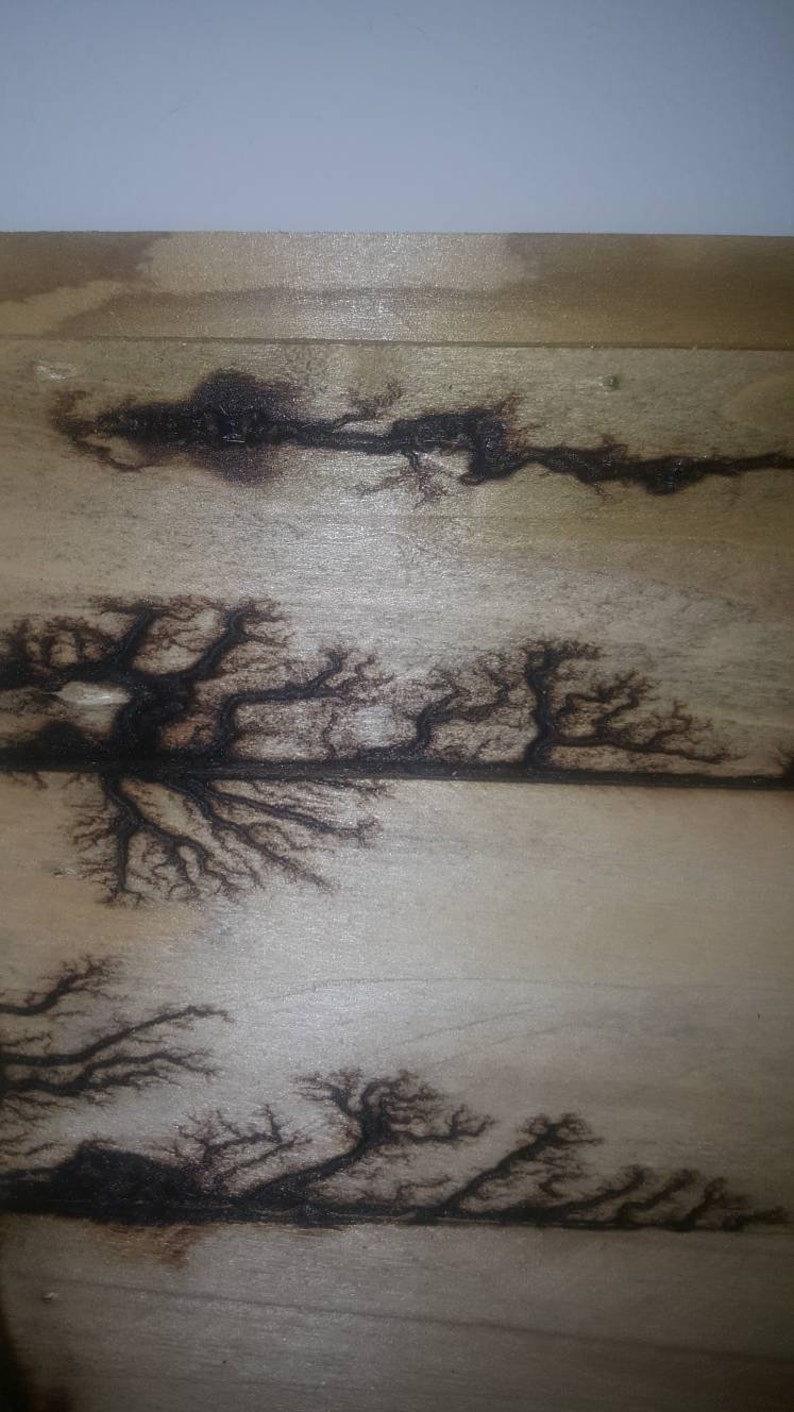 Lichtenberg Wood Burning Lichtenberg Wood Burning Art Etsy