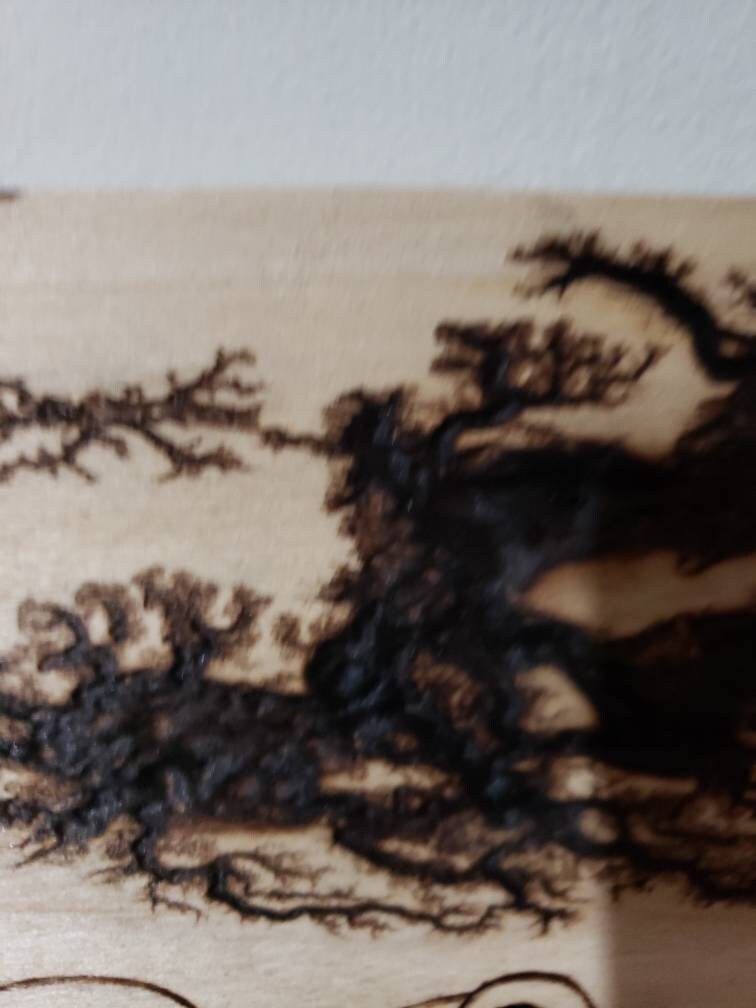Welcome Sign, Lichtenberg Wood Burning, Lichtenberg Wood Burning Art