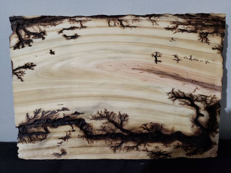 How to write a letter of recommendation for your teacher Electric wood burning art for sale