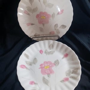 Pair of Vtg Blue Ridge Southern Potteries Hand Painted 9.5&quot; Plates