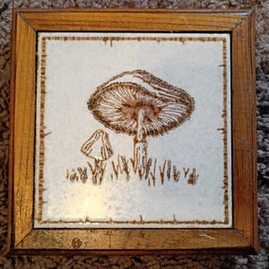 Dessous de plat en céramique de 5,5 po. Mushroom par H and R Johnson, cadre en bois, Mexique
