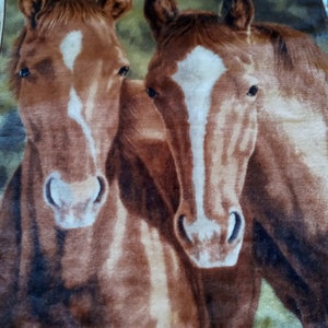 Victoria Wilson-Schultz Equestrian Fur blanket wall -Northwest Company-58” x 48”