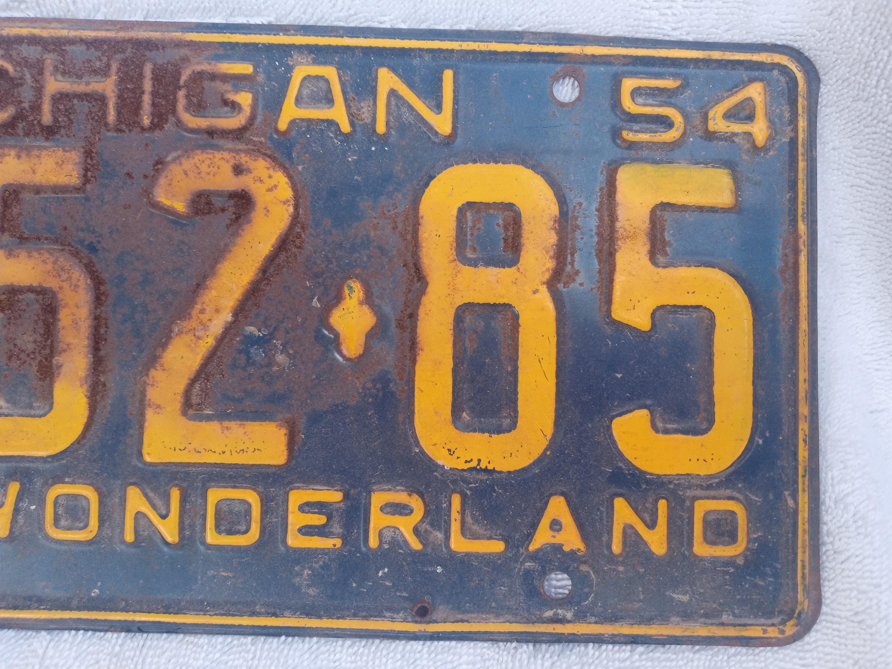 ヴィンテージ 1954 ミシガン ナンバープレート 青と黄色 - Etsy 日本