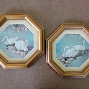 May include: Two octagonal wall frames with gold-toned borders, each containing a print of white swans swimming in blue water with cygnets. The prints feature a light-coloured matting inside the frames, showcasing serene aquatic scenes.