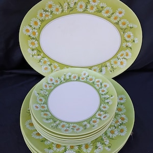 VTG Melamin Daisy Muster 16-teiliges Abendessen / Servierset